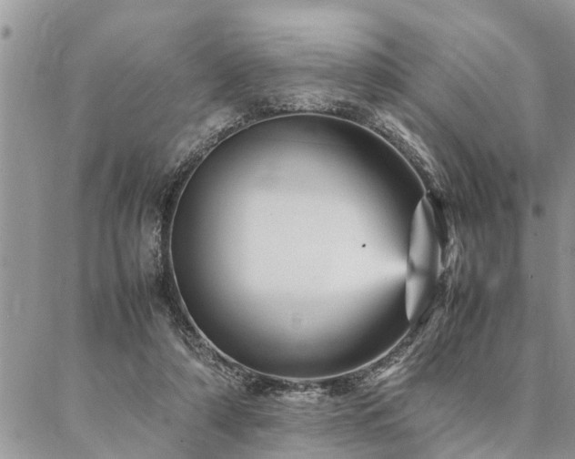 X0000087390306200704201249