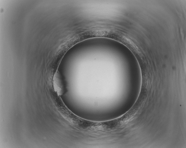 X0000087390307200704201249