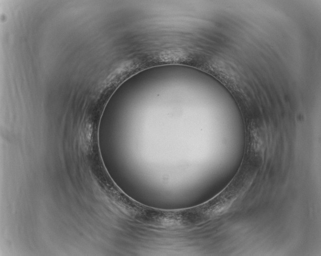 X0000087390308200704201249