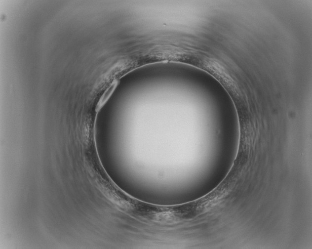 X0000087390309200704201249