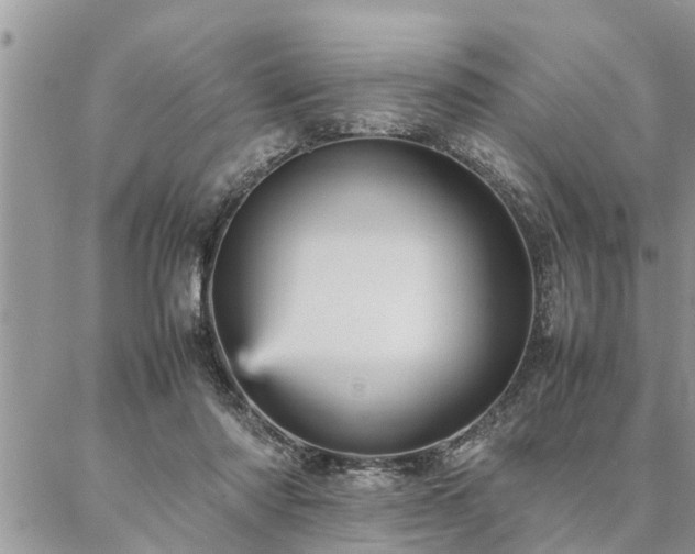 X0000087390310200704201249