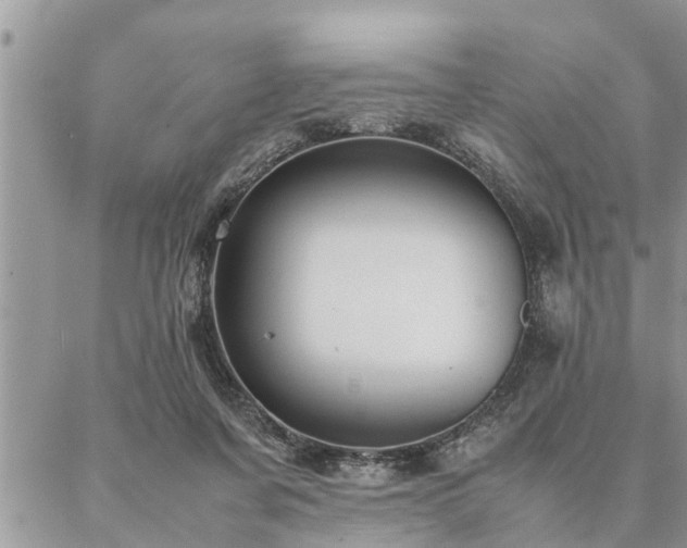 X0000087390311200704201249