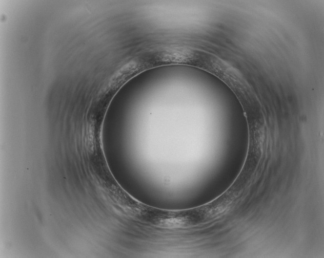 X0000087390312200704201249