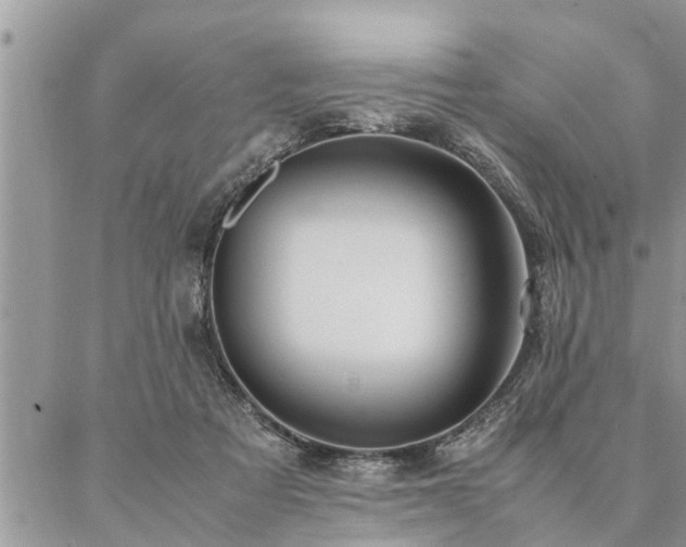 X0000087390313200704201249