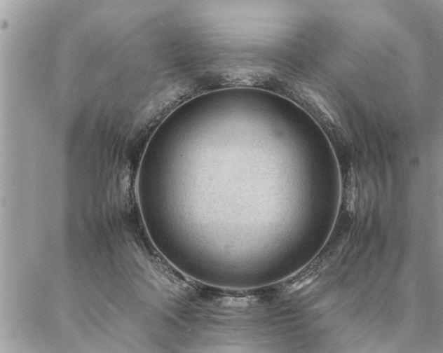 X0000087390314200704201249