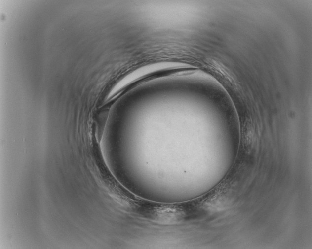 X0000087390315200704201249