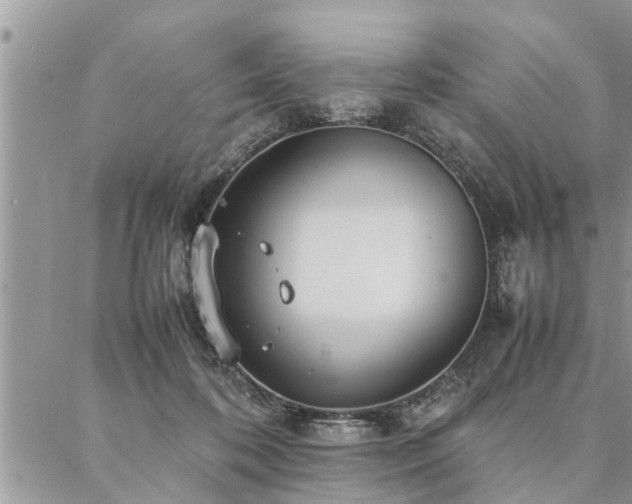 X0000087390316200704201249