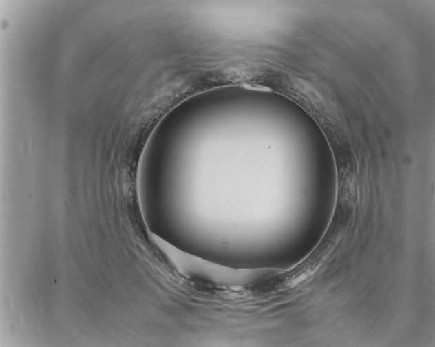 X0000087390317200704201249