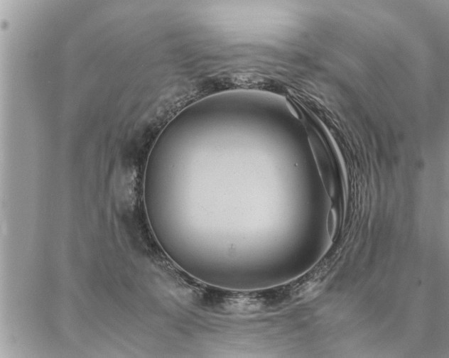 X0000087390319200704201249