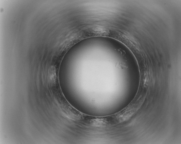 X0000087390320200704201249