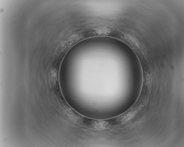 X0000087390321200704201249