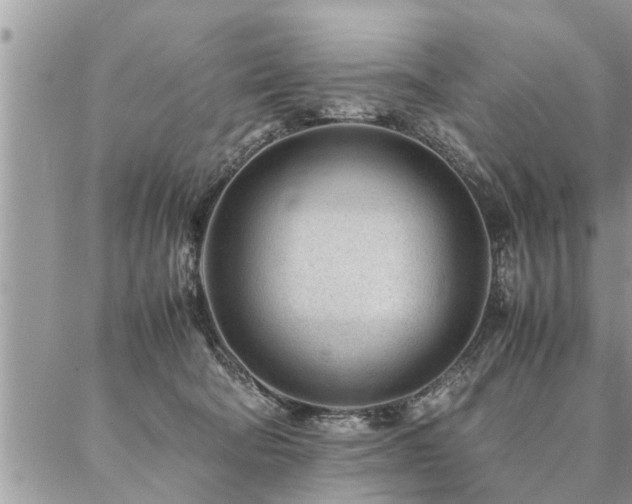 X0000087390322200704201249