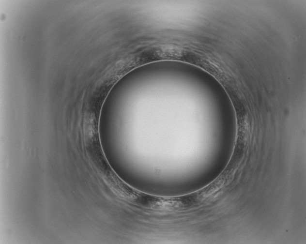 X0000087390323200704201249