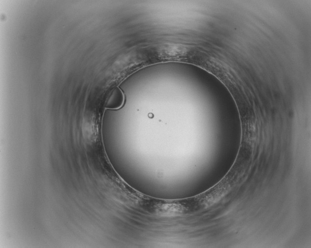 X0000087390324200704201249