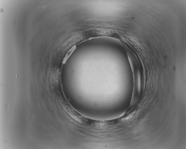 X0000087390325200704201249