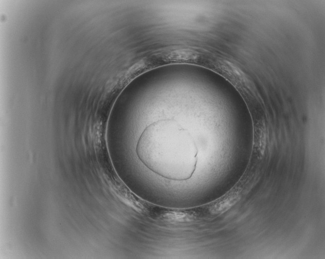 X0000087390326200704201249