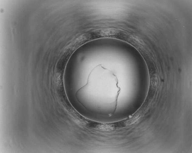 X0000087390327200704201249