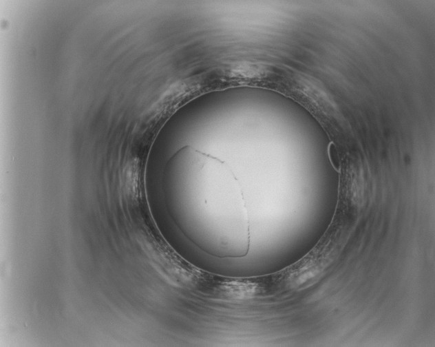 X0000087390328200704201249