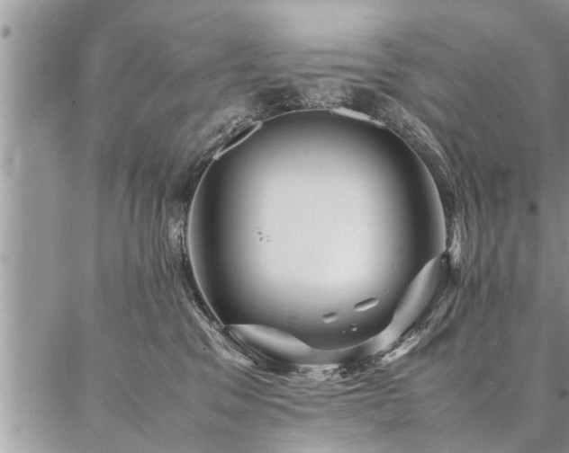 X0000087390329200704201248