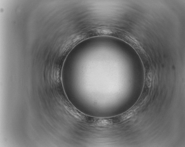 X0000087390330200704201248