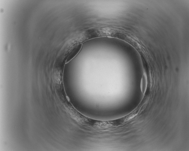 X0000087390331200704201248