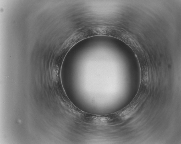 X0000087390332200704201248