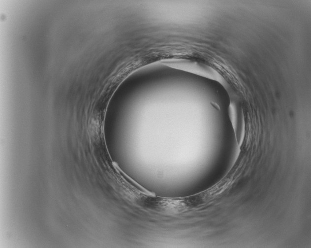 X0000087390333200704201248