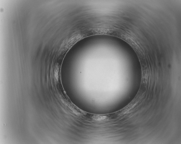 X0000087390334200704201248