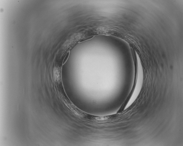 X0000087390335200704201248