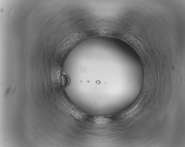 X0000087390336200704201248