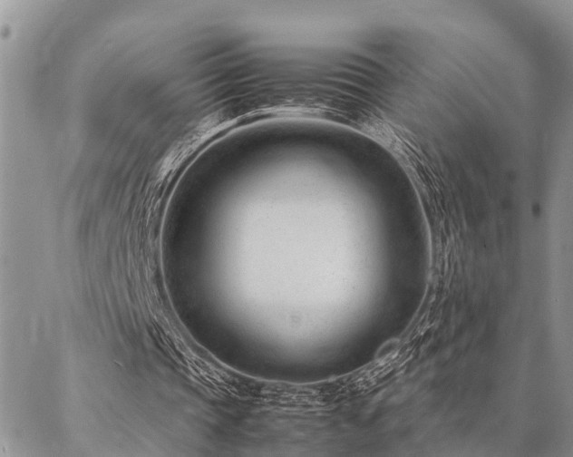 X0000087390337200704201248