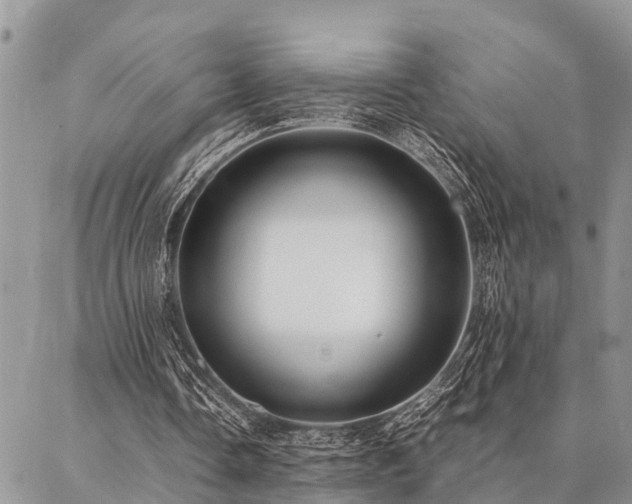 X0000087390338200704201248