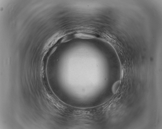 X0000087390339200704201248