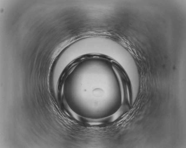 X0000087390340200704201248