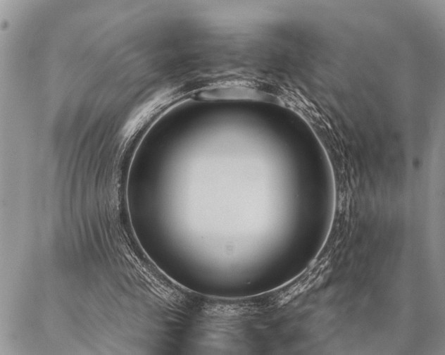 X0000087390341200704201248