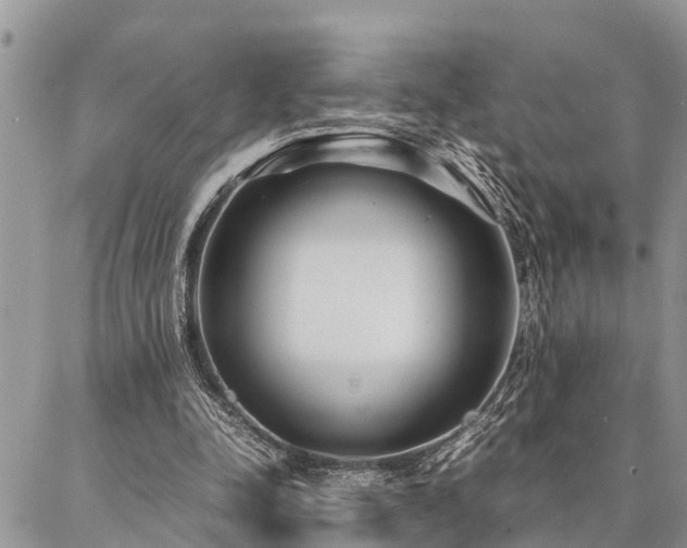 X0000087390342200704201248