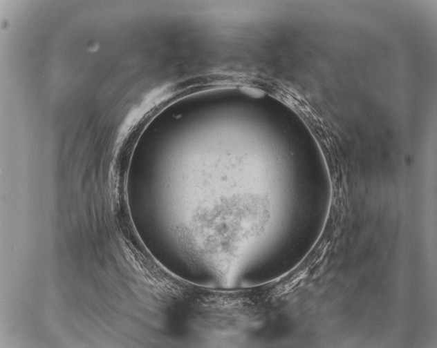 X0000087390343200704201248