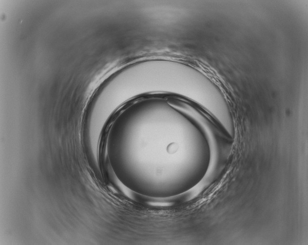 X0000087390344200704201248