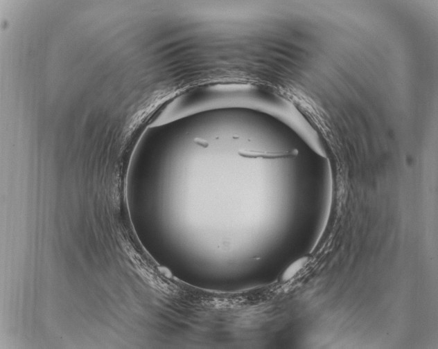 X0000087390345200704201248