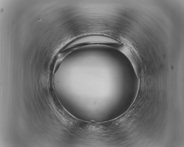 X0000087390346200704201248