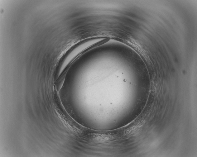 X0000087390347200704201248