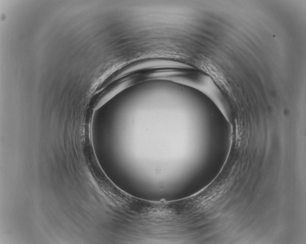 X0000087390348200704201248