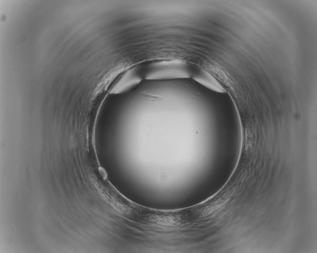 X0000087390349200704201248