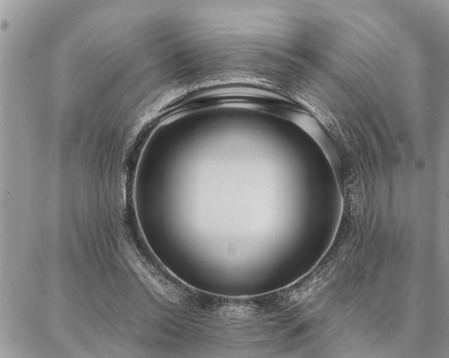 X0000087390350200704201248