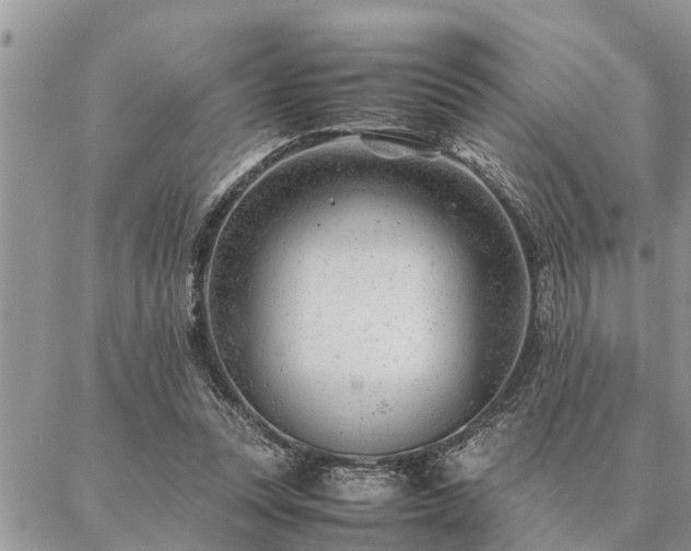 X0000087390351200704201248