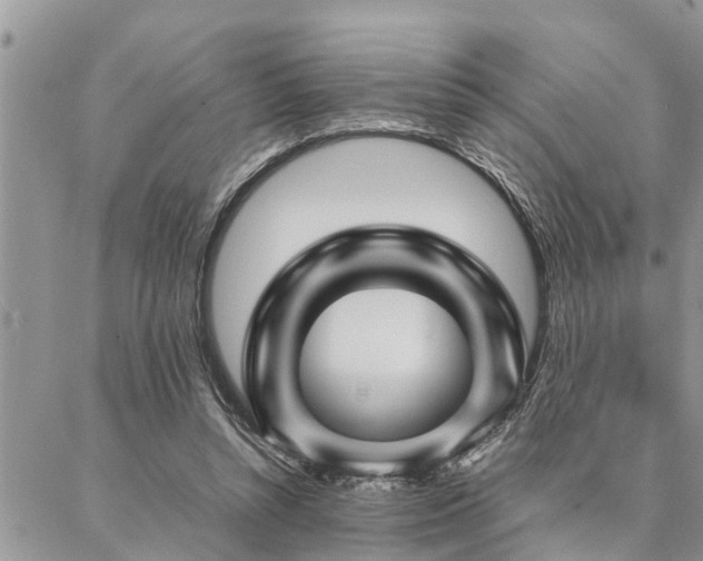 X0000087390352200704201248