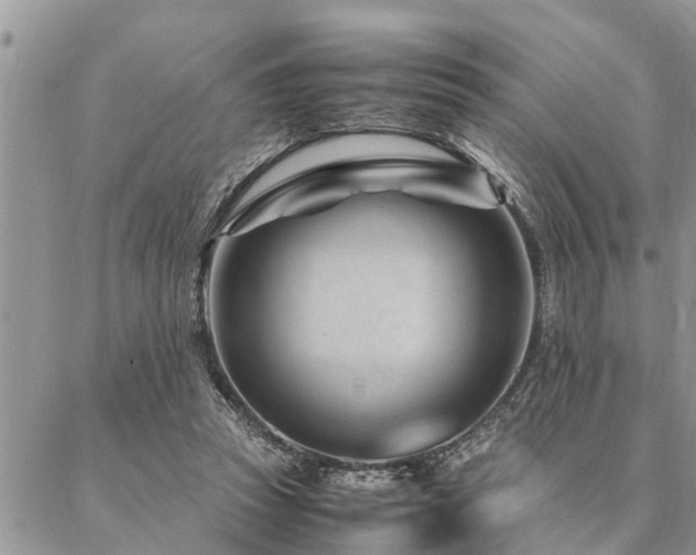 X0000087390353200704201248