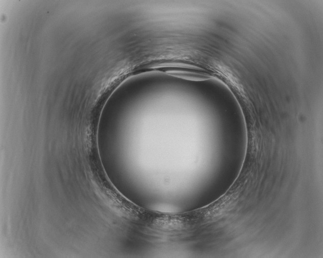 X0000087390354200704201248