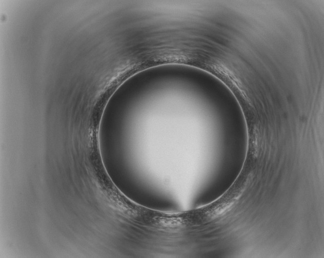 X0000087390355200704201248