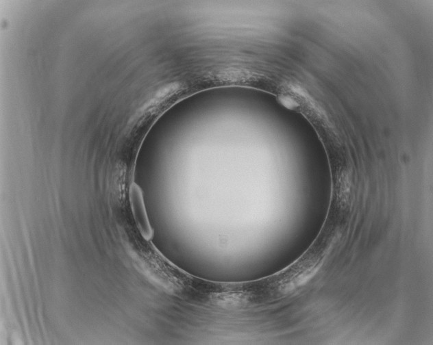 X0000087390356200704201248